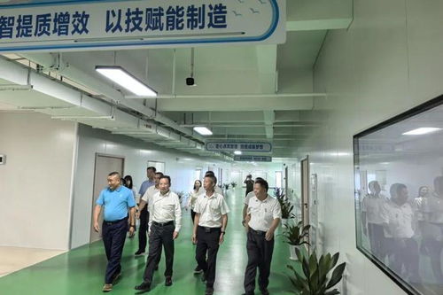 產(chǎn)教融合驅(qū)動制造業(yè)高質(zhì)量發(fā)展 智能制造產(chǎn)業(yè)學院電子信息‘廠中校’正式揭牌暨教育咨詢服務啟動